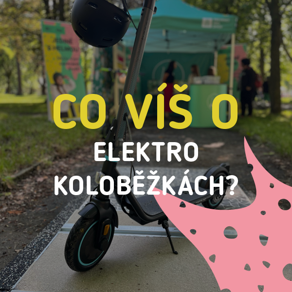 BNE Co víš o
