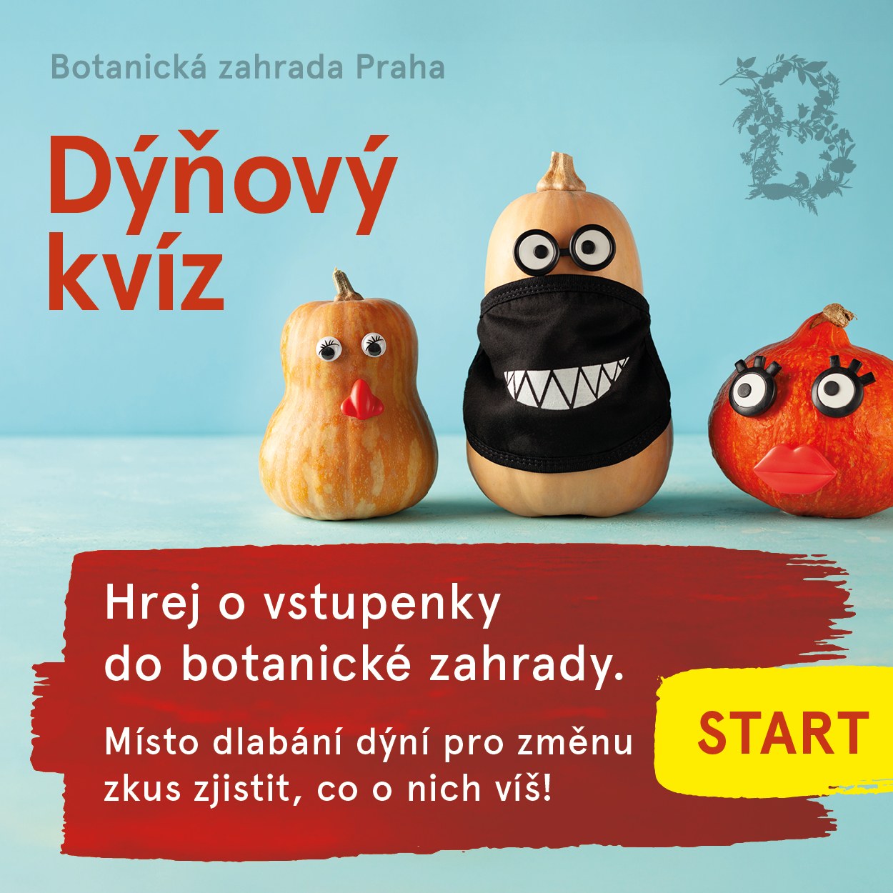 Kvíz Motýli