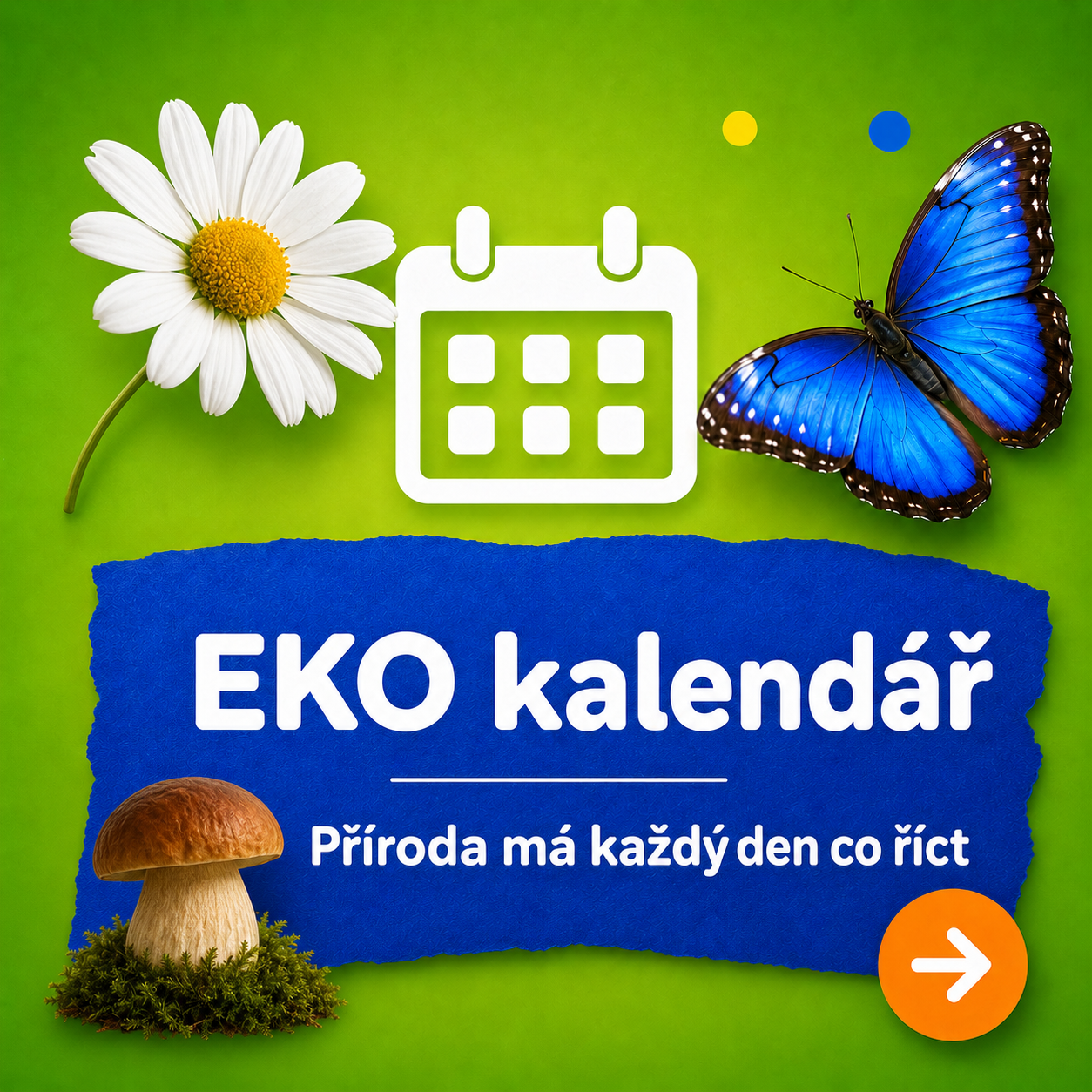 Dlaždice do škol